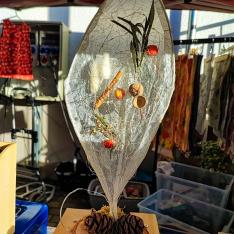 IMG_20251030_151959_2_DxO